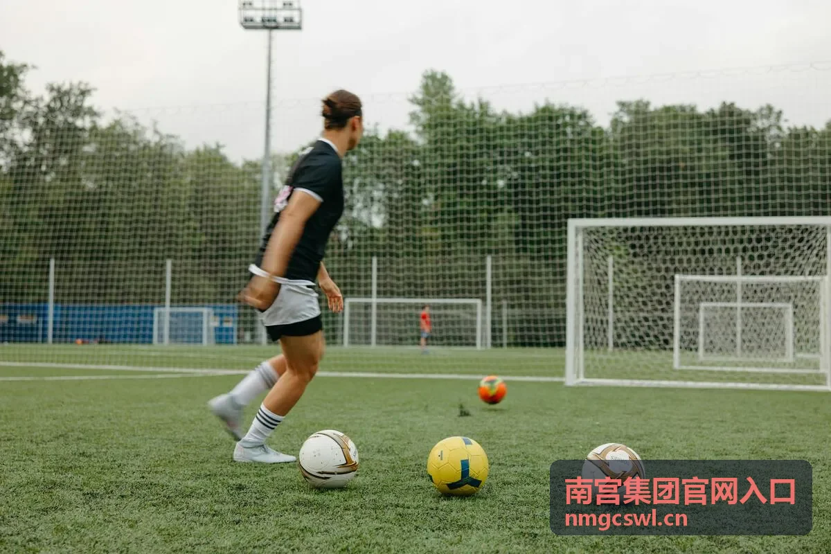 南宫集团业务概览封面图